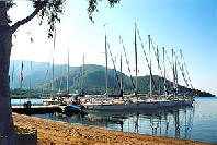 Pupa Marina, Marmaris